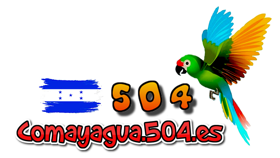 Descripción de la imagen 2