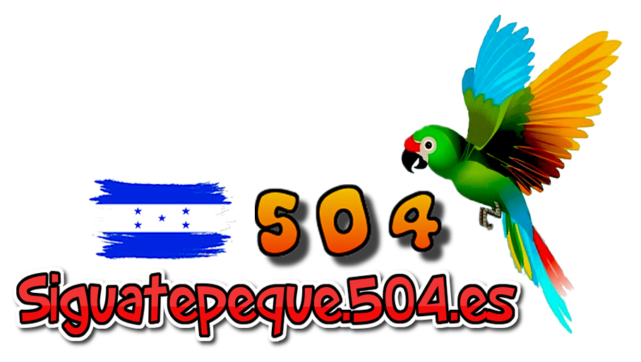 Descripción de la imagen 3